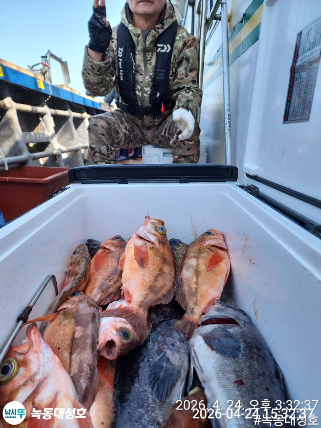 낚시뚜,우럭,열기,녹동항,녹동대성호,낚시뚜37