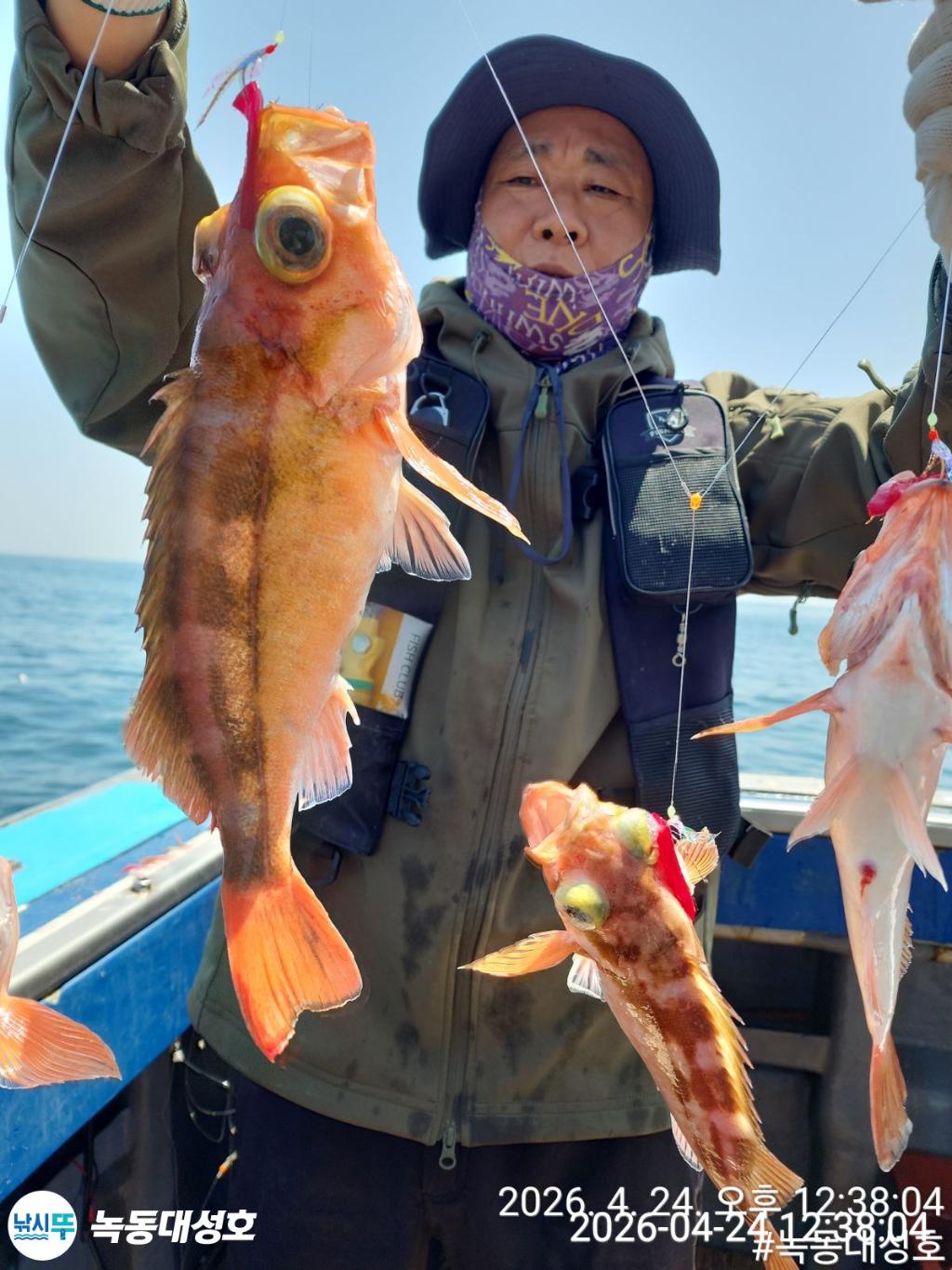 낚시뚜,우럭,열기,녹동항,녹동대성호,낚시뚜32