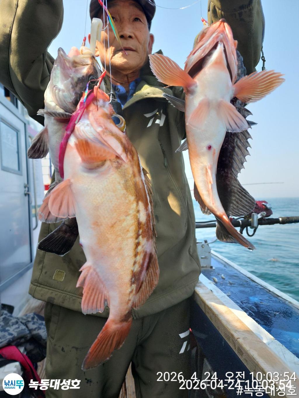 낚시뚜,우럭,열기,녹동항,녹동대성호,낚시뚜31