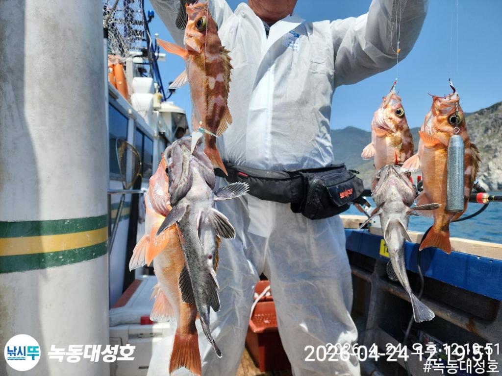 낚시뚜,우럭,열기,녹동항,녹동대성호,낚시뚜30