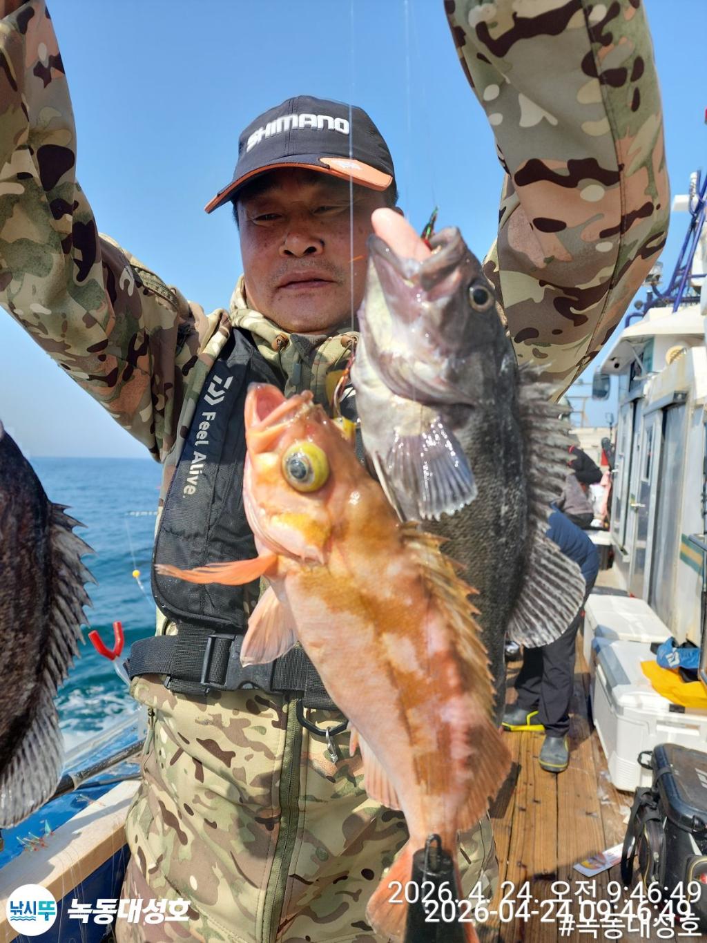 낚시뚜,우럭,열기,녹동항,녹동대성호,낚시뚜26