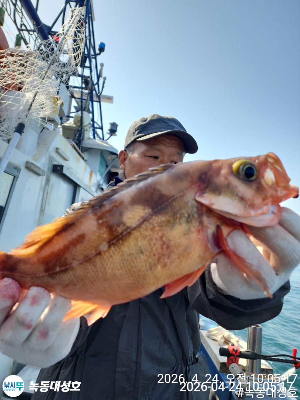 낚시뚜,우럭,열기,녹동항,녹동대성호,낚시뚜21