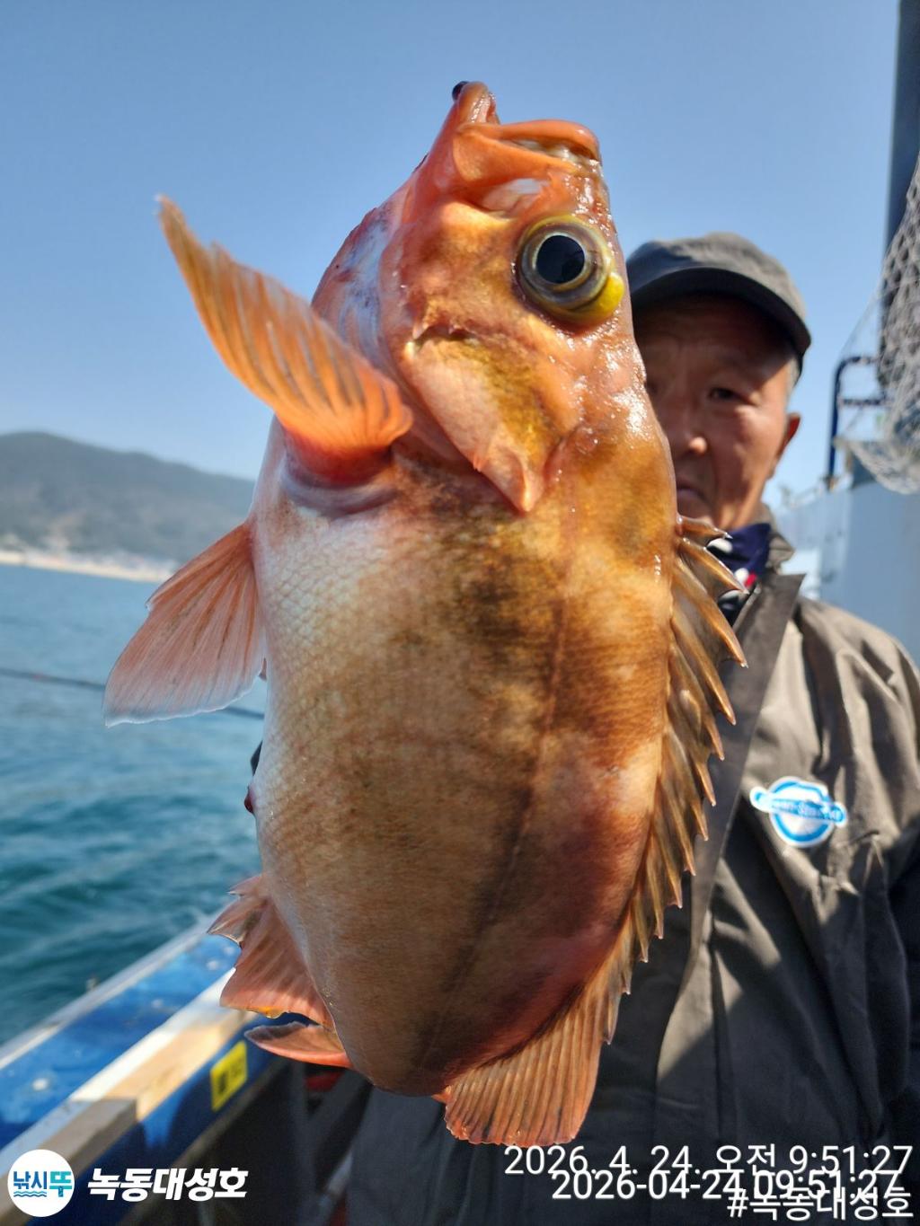 낚시뚜,우럭,열기,녹동항,녹동대성호,낚시뚜19