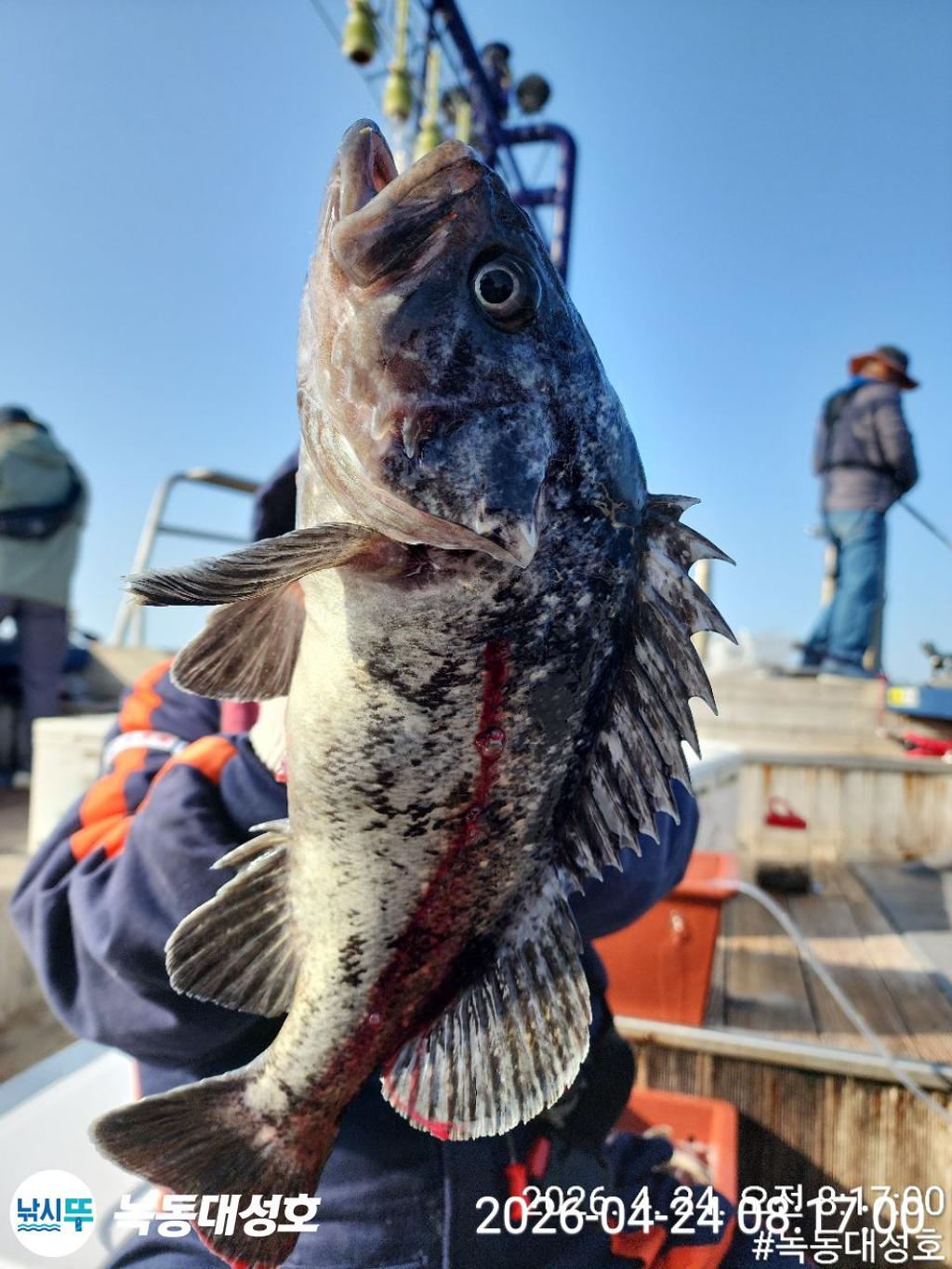 낚시뚜,우럭,열기,녹동항,녹동대성호,낚시뚜16