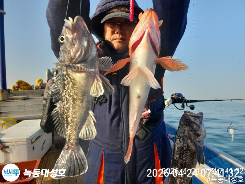 낚시뚜,우럭,열기,녹동항,녹동대성호,낚시뚜11