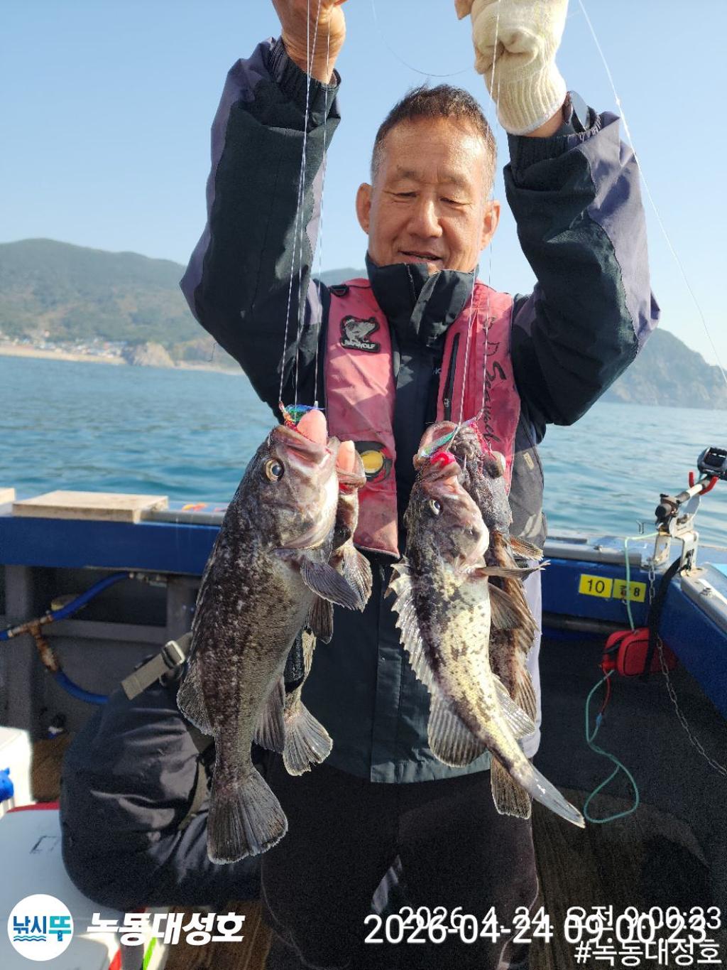 낚시뚜,우럭,열기,녹동항,녹동대성호,낚시뚜9