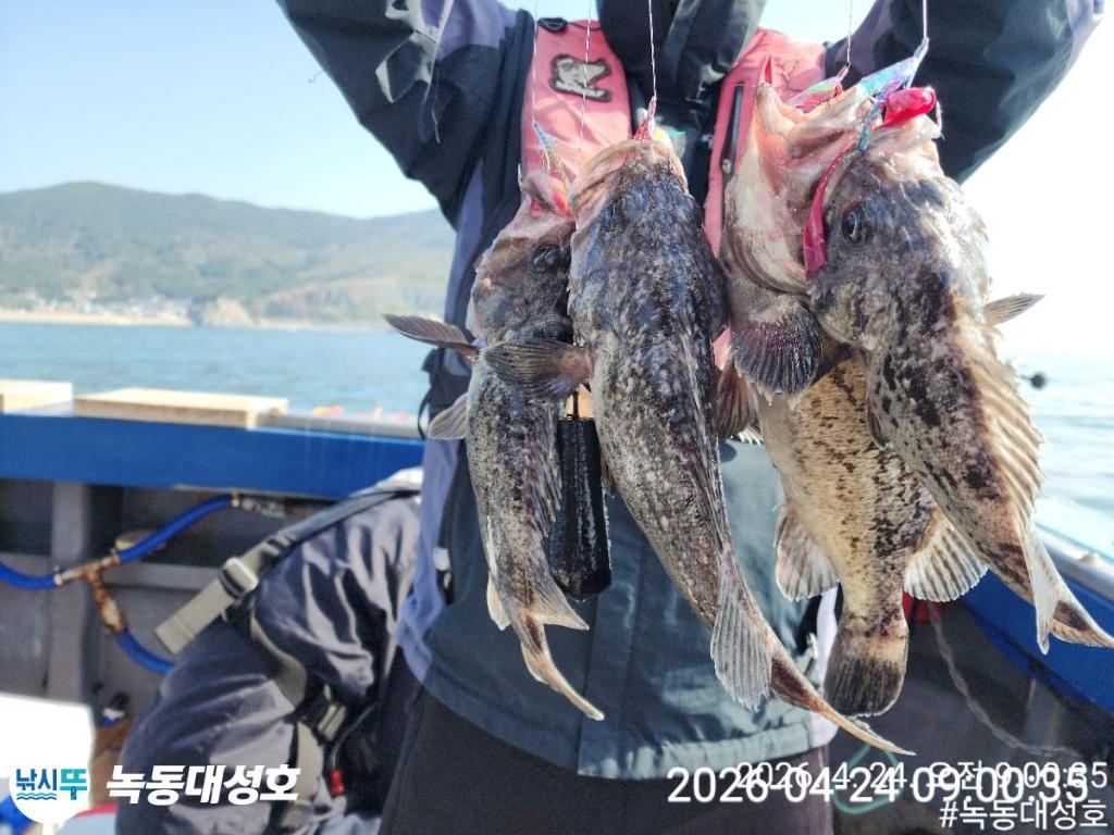 낚시뚜,우럭,열기,녹동항,녹동대성호,낚시뚜6