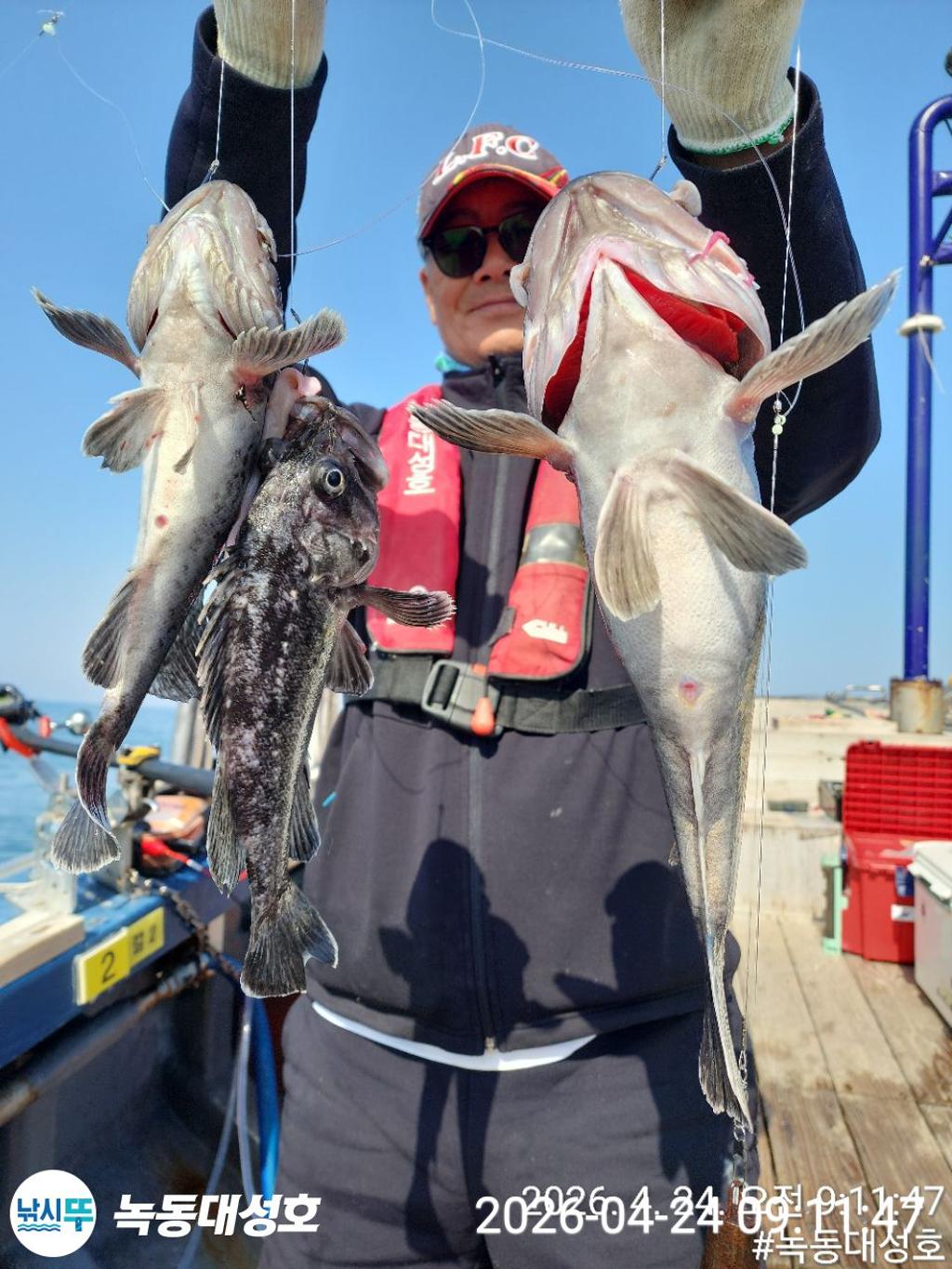 낚시뚜,우럭,열기,녹동항,녹동대성호,낚시뚜3