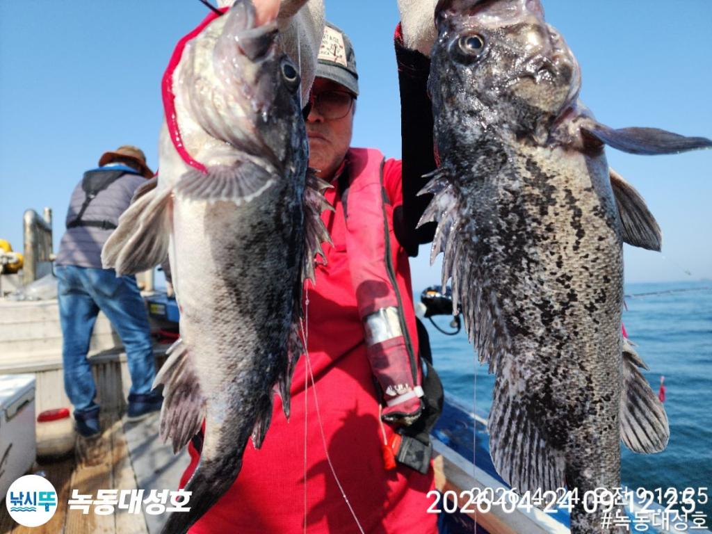 낚시뚜,우럭,열기,녹동항,녹동대성호,낚시뚜2