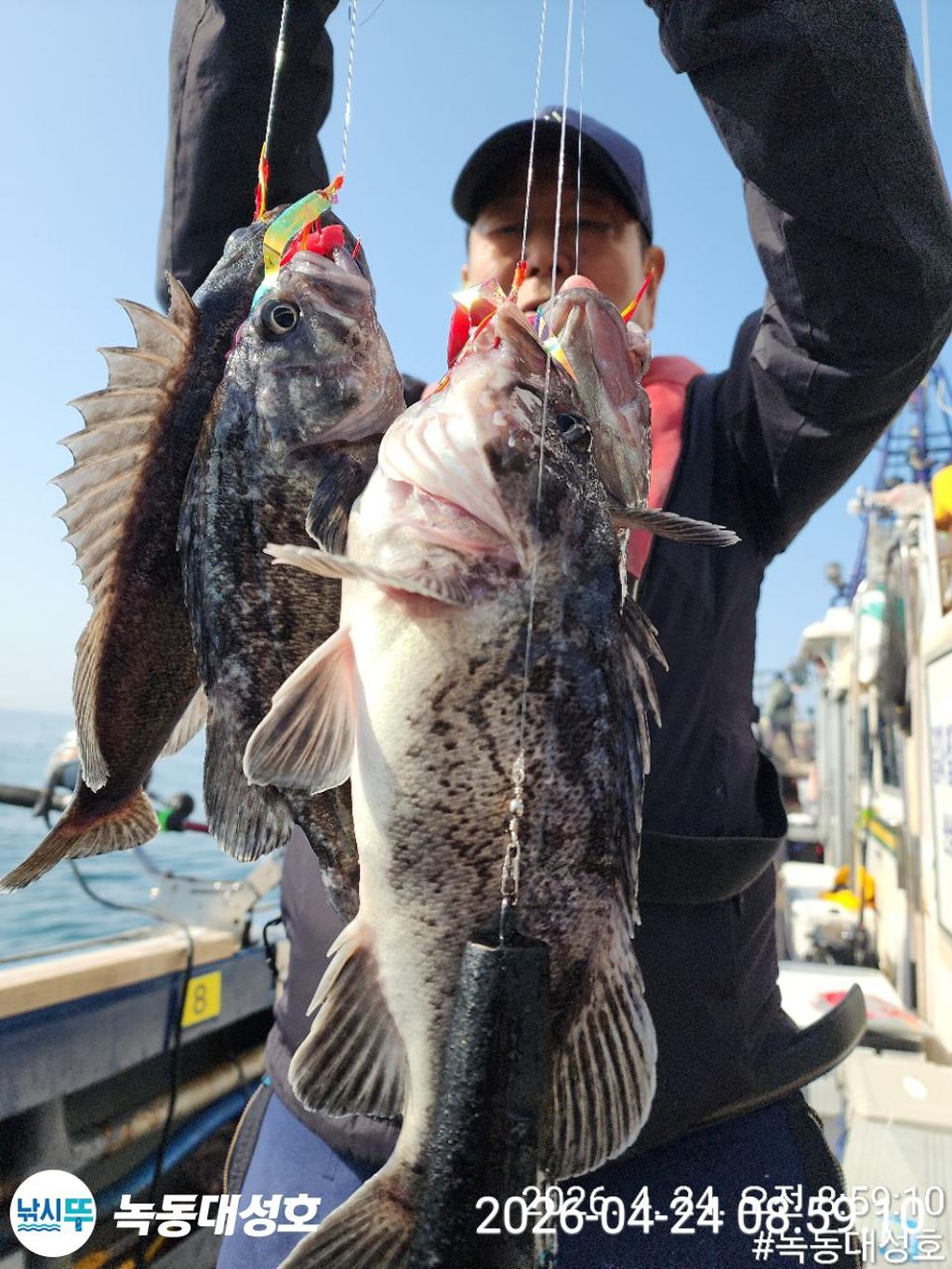 낚시뚜,우럭,열기,녹동항,녹동대성호,낚시뚜1