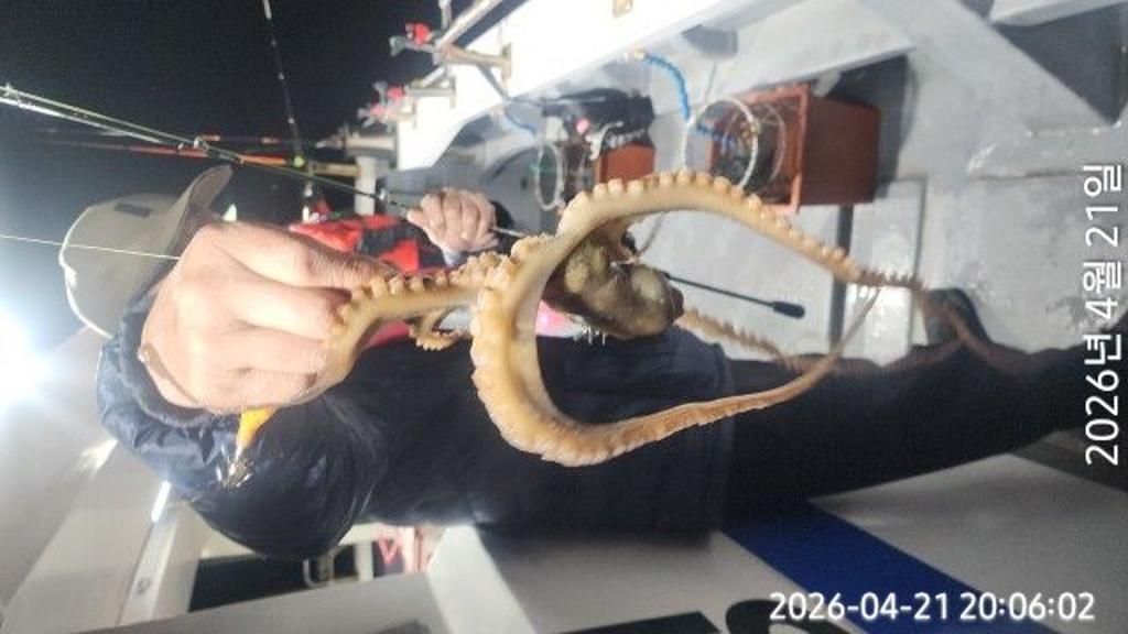 낚시뚜,도다리,속천항(진해),바루나피싱,낚시뚜3