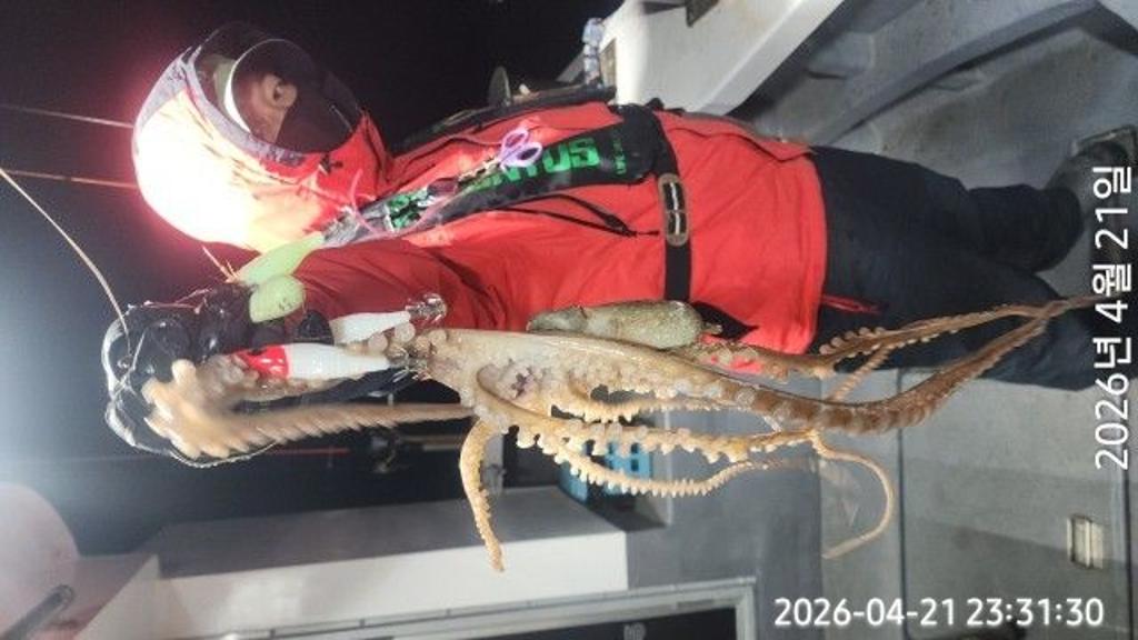 낚시뚜,도다리,속천항(진해),바루나피싱,낚시뚜2