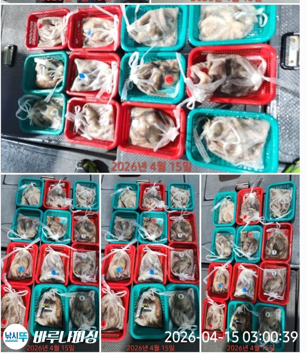 낚시뚜,도다리,속천항(진해),바루나피싱,낚시뚜1