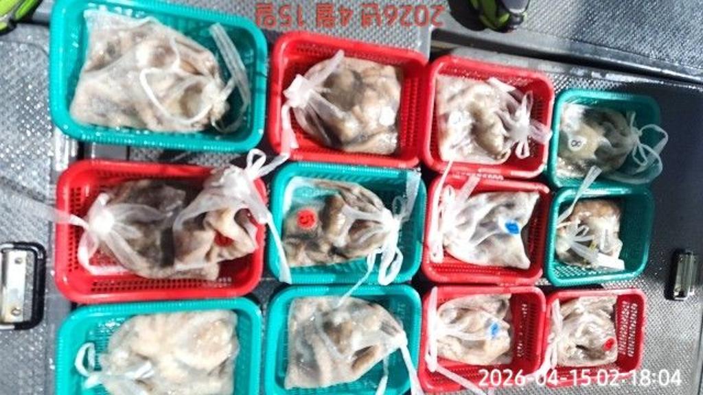 낚시뚜,도다리,속천항(진해),바루나피싱,낚시뚜0