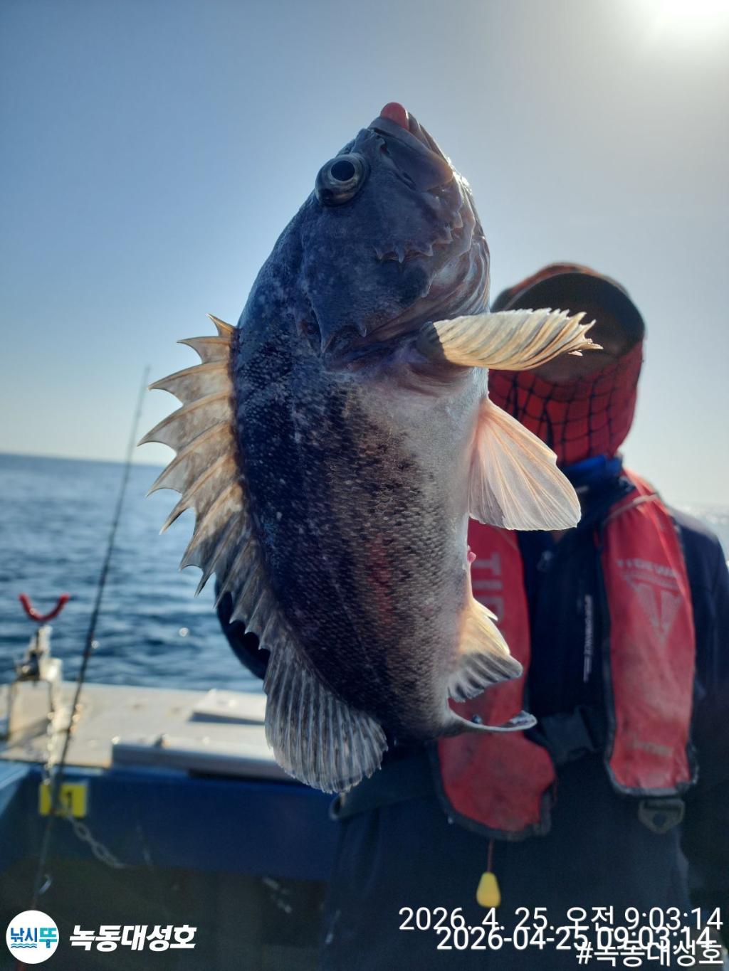 낚시뚜,우럭,열기,녹동항,녹동대성호,낚시뚜36