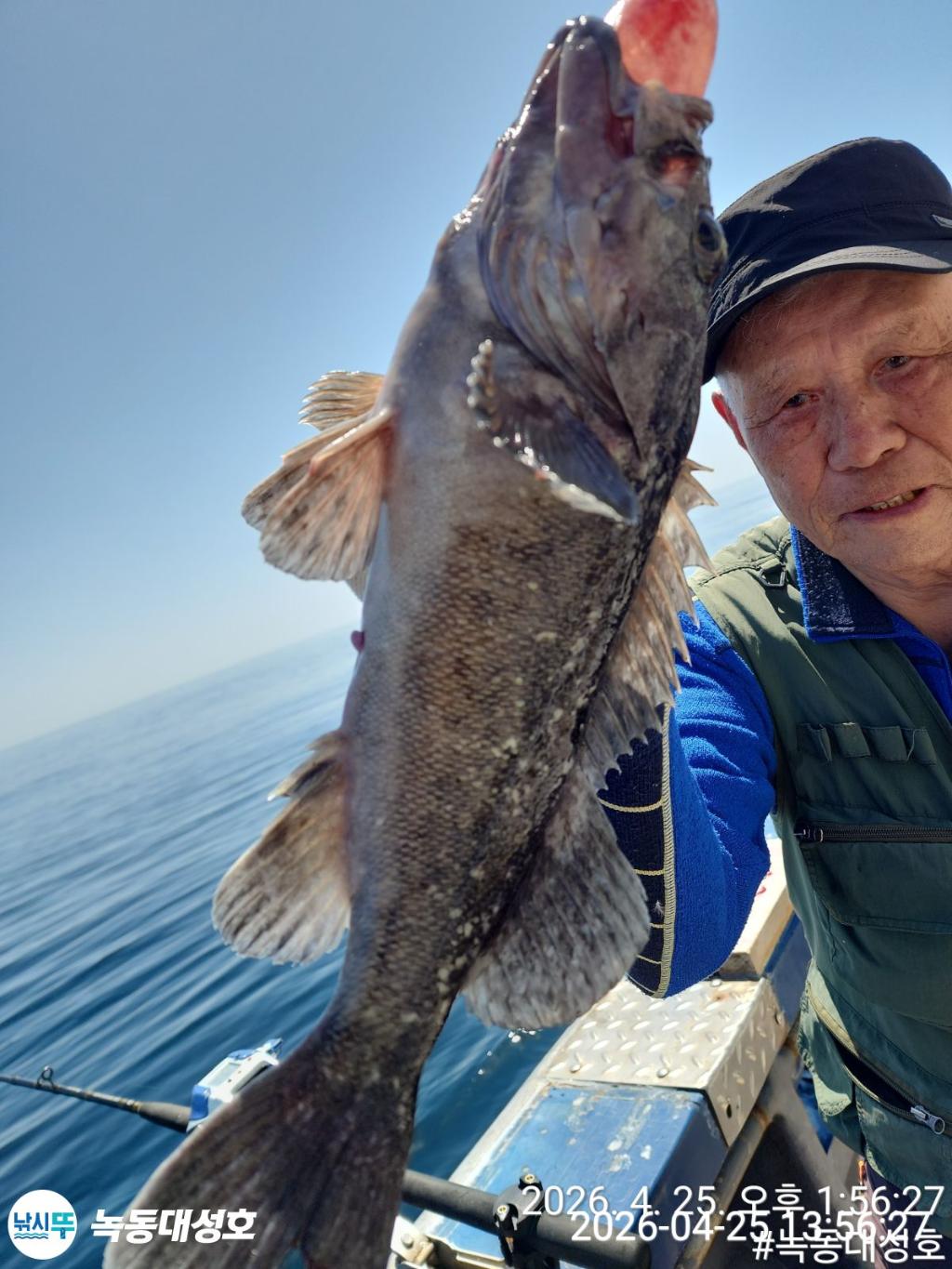 낚시뚜,우럭,열기,녹동항,녹동대성호,낚시뚜35