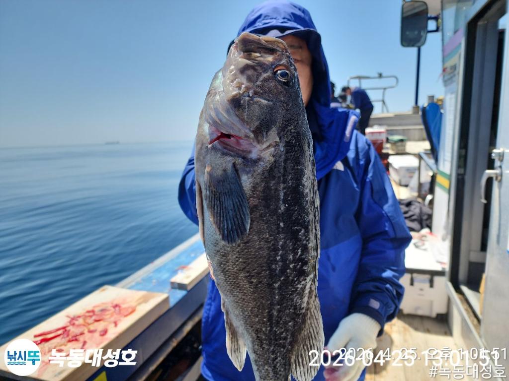 낚시뚜,우럭,열기,녹동항,녹동대성호,낚시뚜34