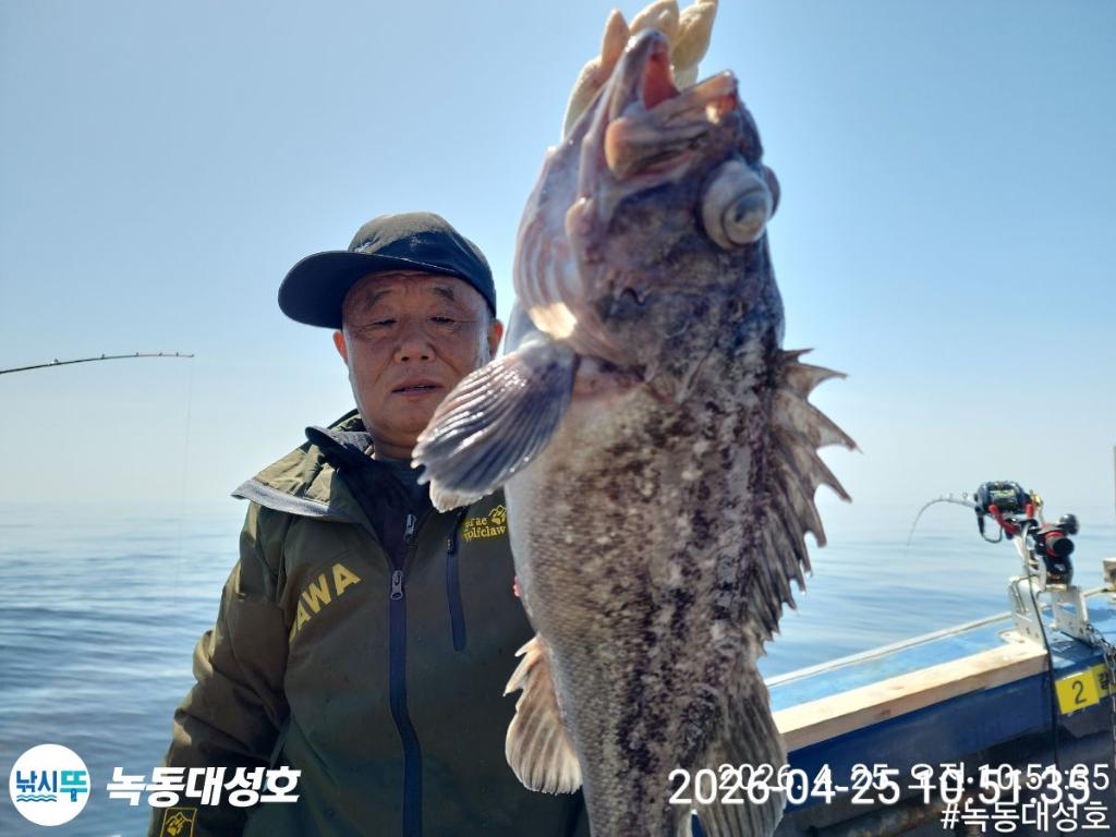 낚시뚜,우럭,열기,녹동항,녹동대성호,낚시뚜33