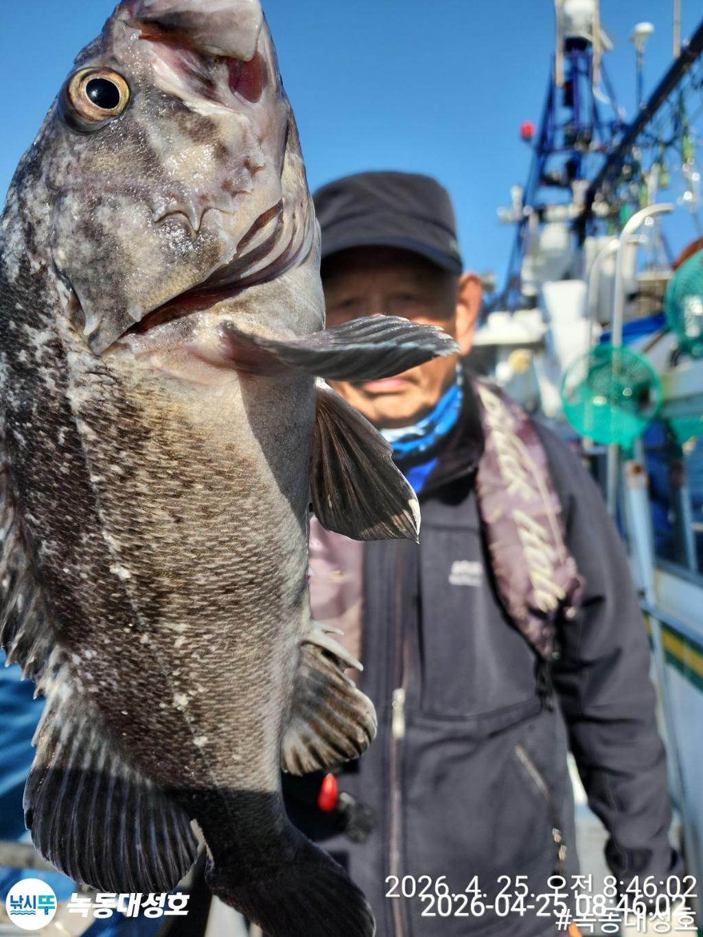 낚시뚜,우럭,열기,녹동항,녹동대성호,낚시뚜31