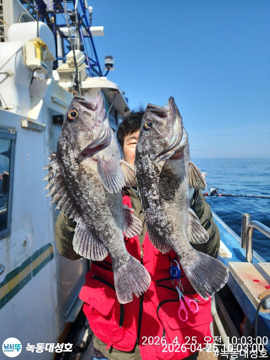 낚시뚜,우럭,열기,녹동항,녹동대성호,낚시뚜29