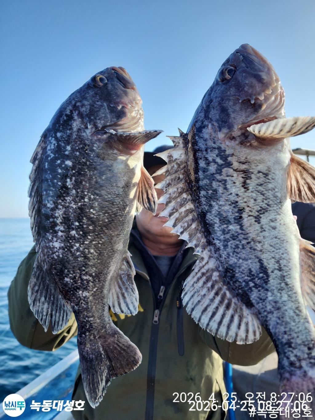 낚시뚜,우럭,열기,녹동항,녹동대성호,낚시뚜28