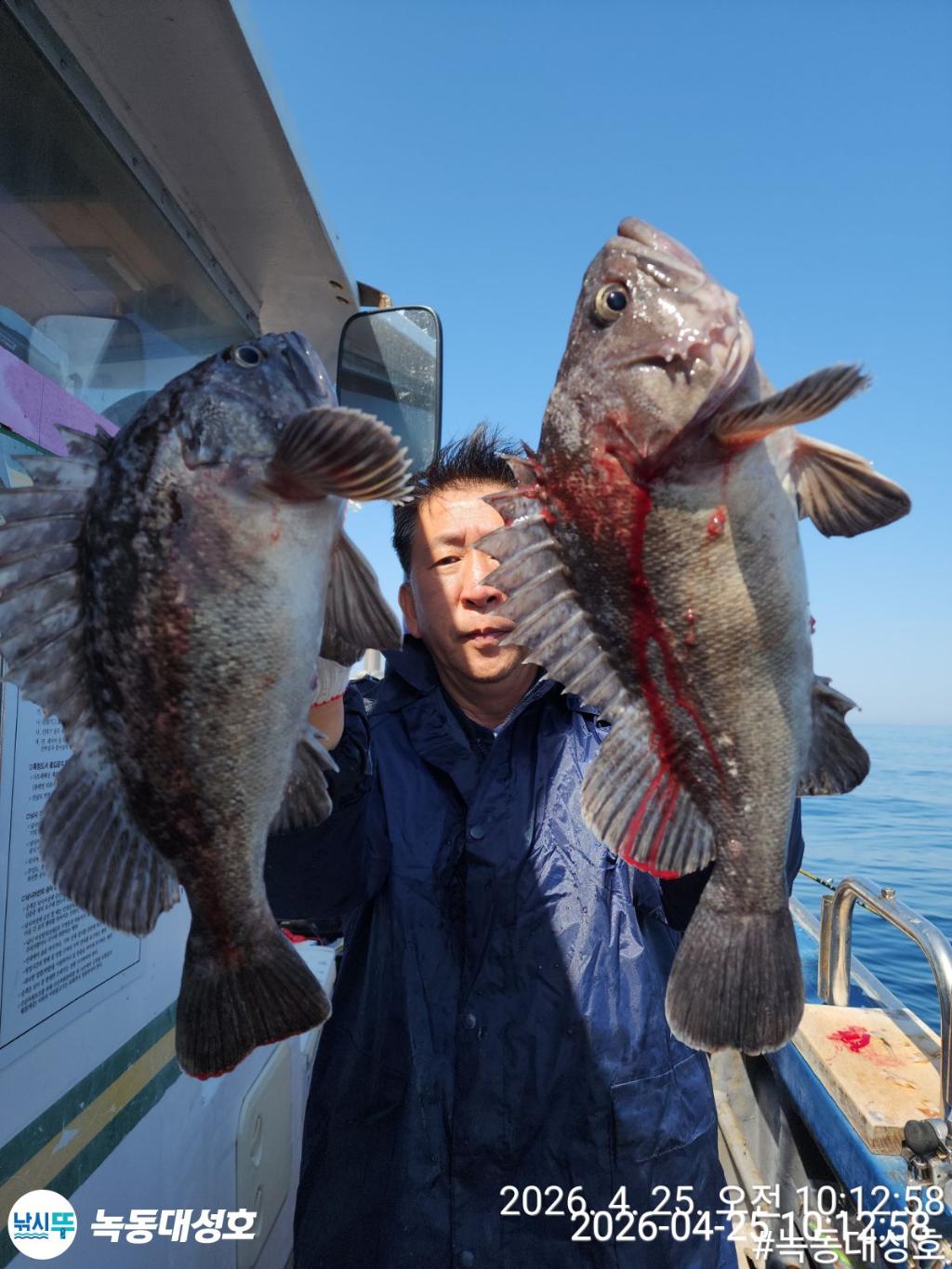 낚시뚜,우럭,열기,녹동항,녹동대성호,낚시뚜26