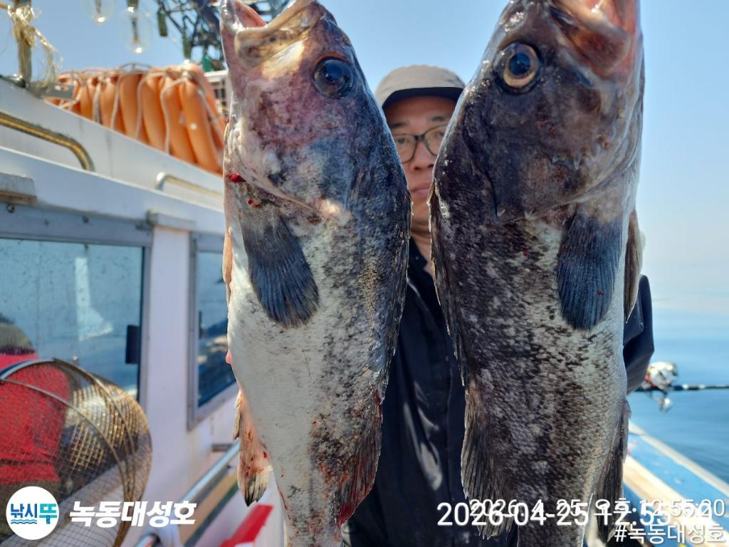 낚시뚜,우럭,열기,녹동항,녹동대성호,낚시뚜25