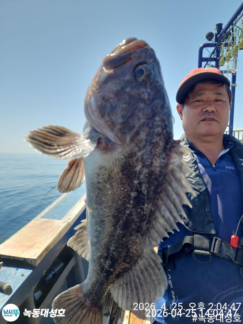 낚시뚜,우럭,열기,녹동항,녹동대성호,낚시뚜23