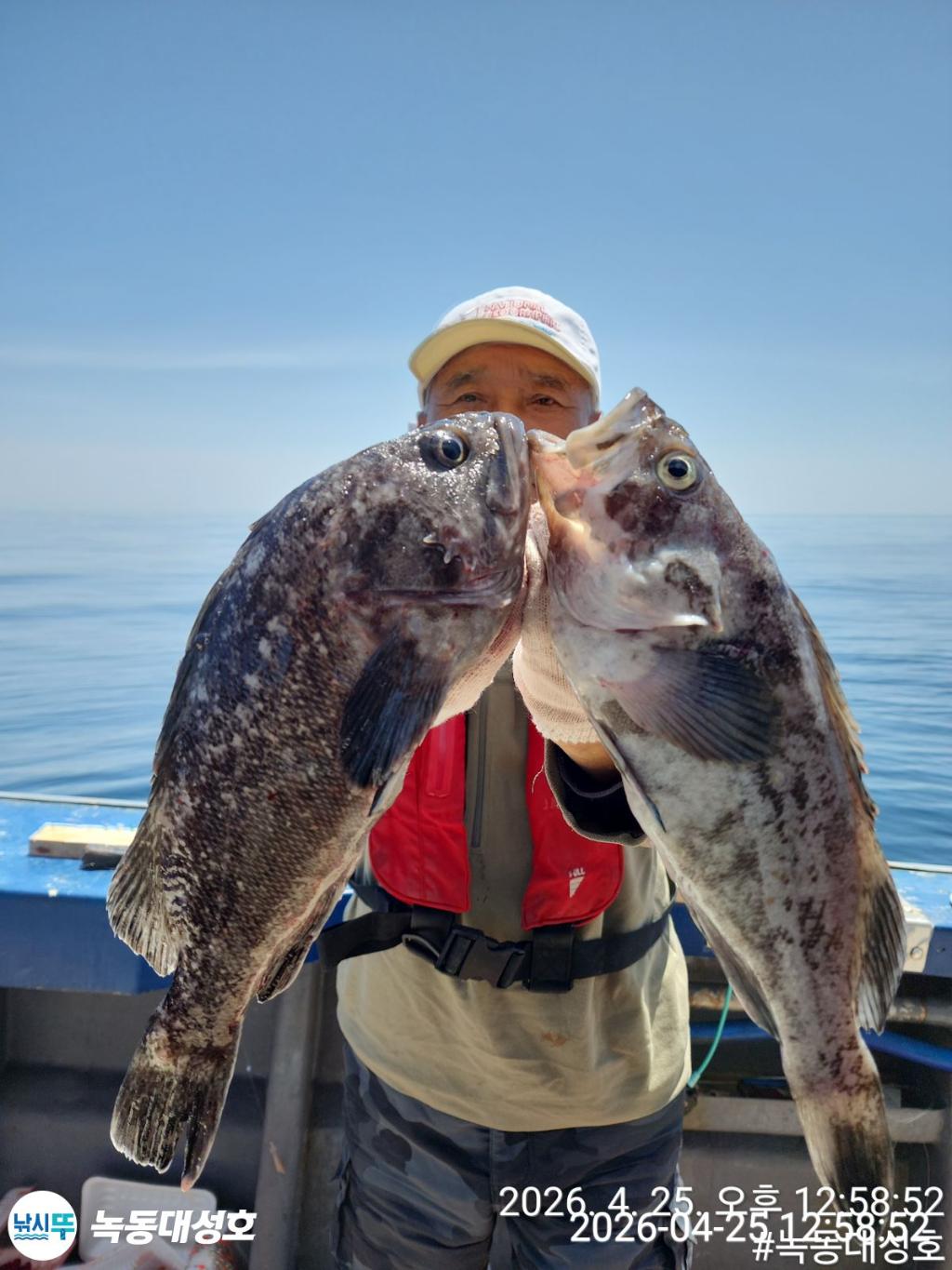 낚시뚜,우럭,열기,녹동항,녹동대성호,낚시뚜22