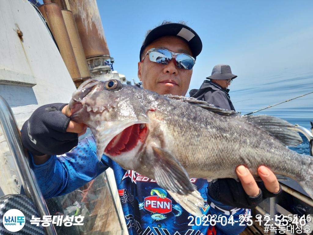 낚시뚜,우럭,열기,녹동항,녹동대성호,낚시뚜19