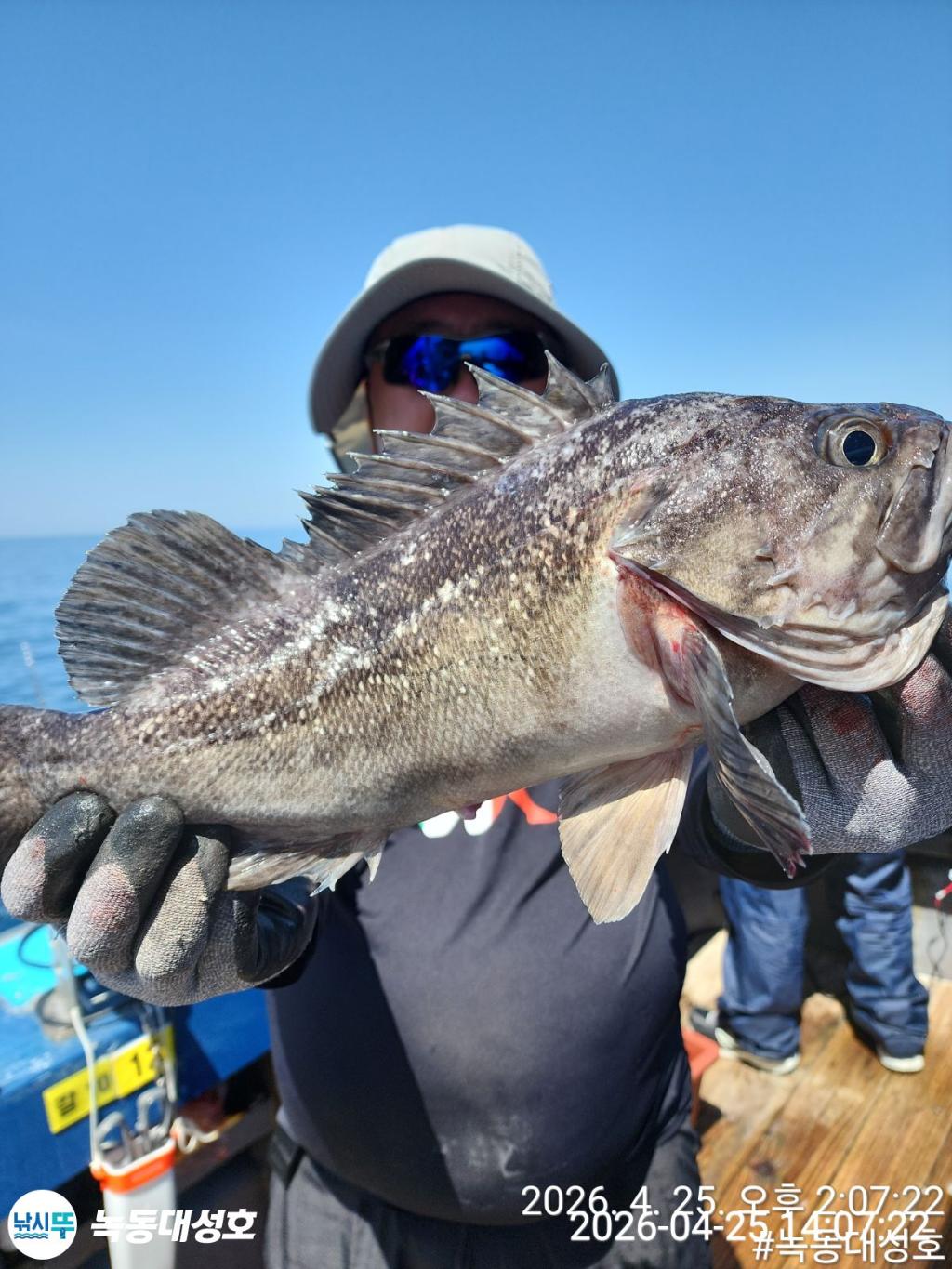 낚시뚜,우럭,열기,녹동항,녹동대성호,낚시뚜16