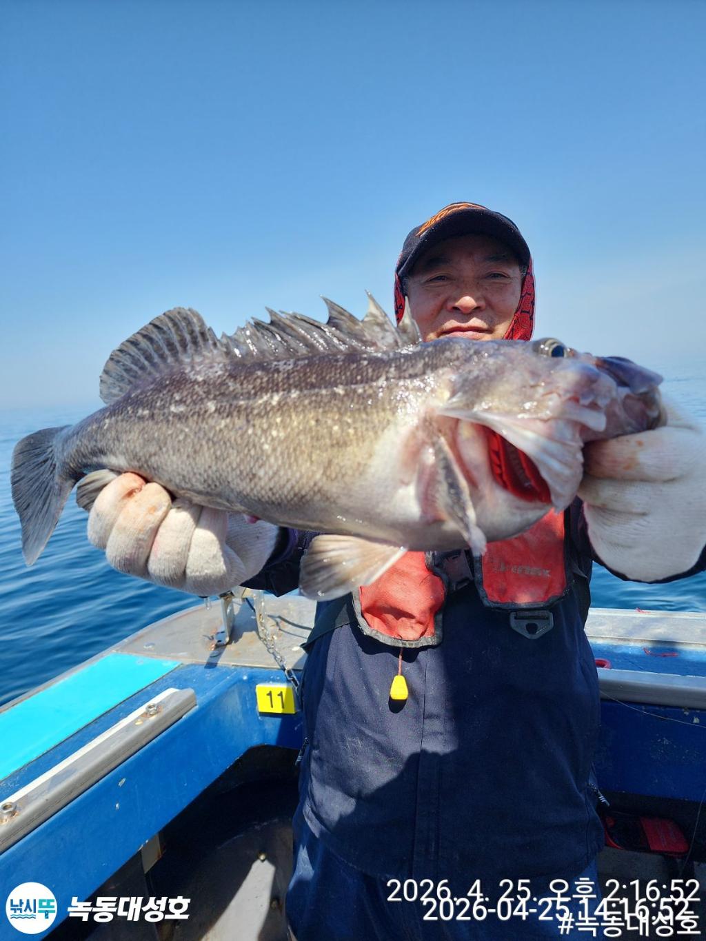 낚시뚜,우럭,열기,녹동항,녹동대성호,낚시뚜15