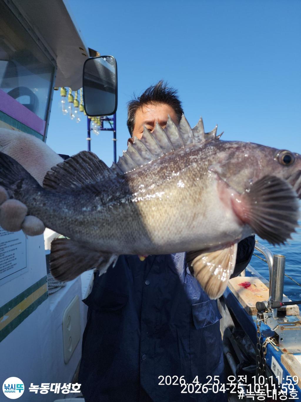 낚시뚜,우럭,열기,녹동항,녹동대성호,낚시뚜11