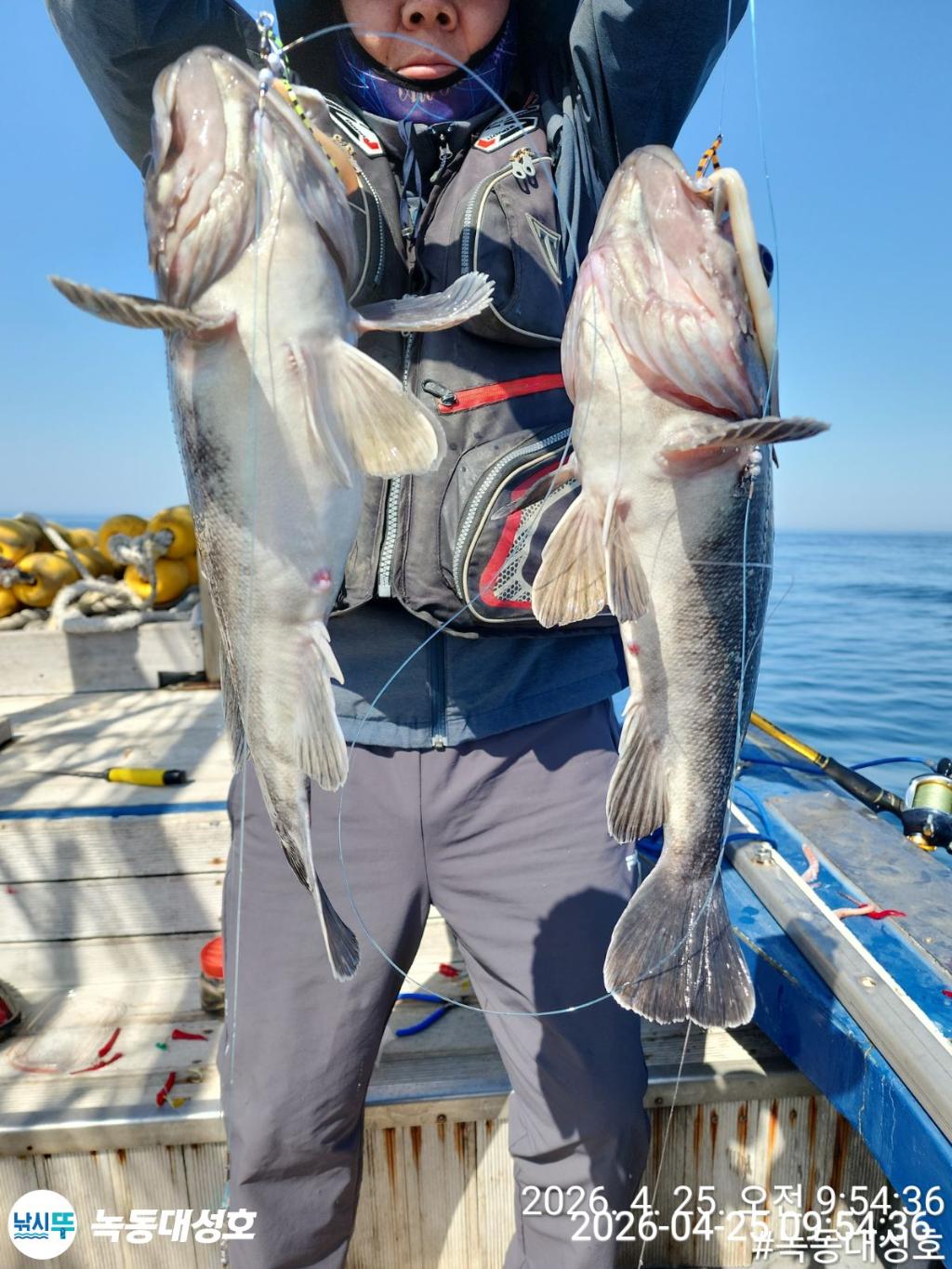 낚시뚜,우럭,열기,녹동항,녹동대성호,낚시뚜9