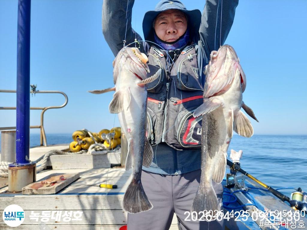 낚시뚜,우럭,열기,녹동항,녹동대성호,낚시뚜7