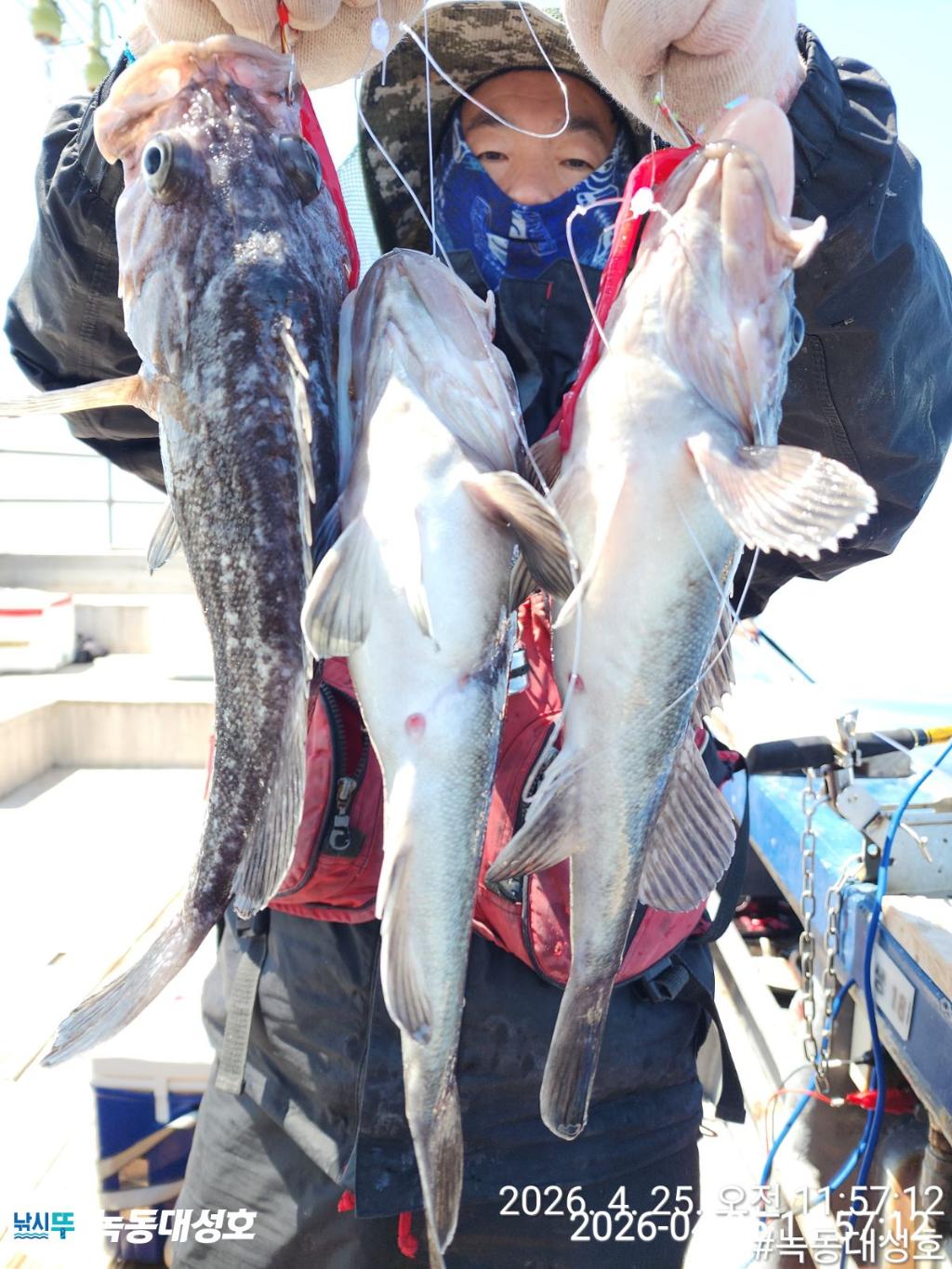 낚시뚜,우럭,열기,녹동항,녹동대성호,낚시뚜4