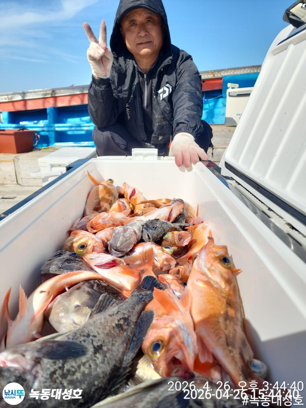 낚시뚜,우럭,열기,녹동항,녹동대성호,낚시뚜27