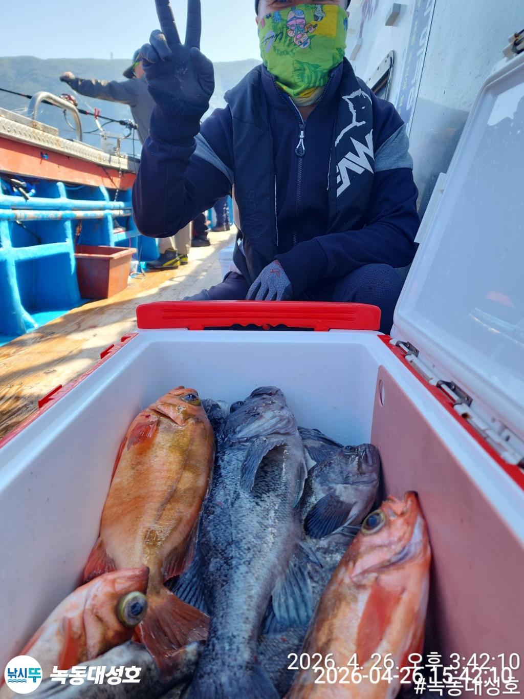 낚시뚜,우럭,열기,녹동항,녹동대성호,낚시뚜24