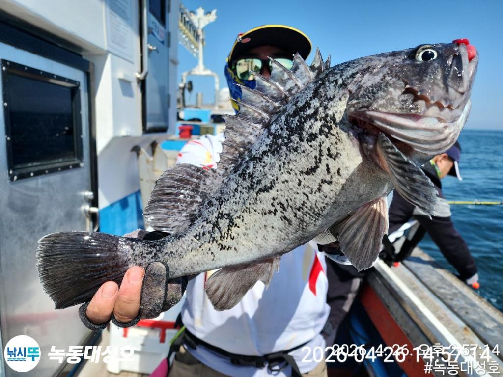 낚시뚜,우럭,열기,녹동항,녹동대성호,낚시뚜23