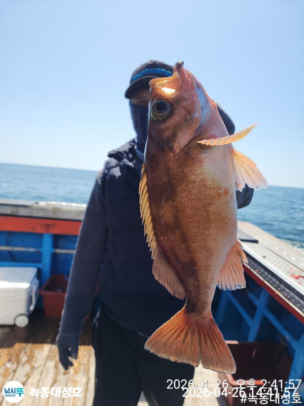 낚시뚜,우럭,열기,녹동항,녹동대성호,낚시뚜20