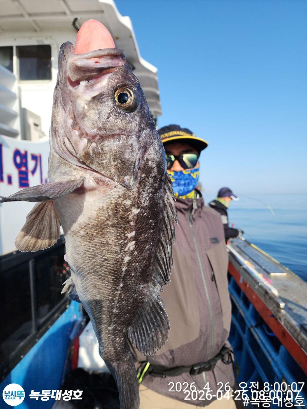 낚시뚜,우럭,열기,녹동항,녹동대성호,낚시뚜19