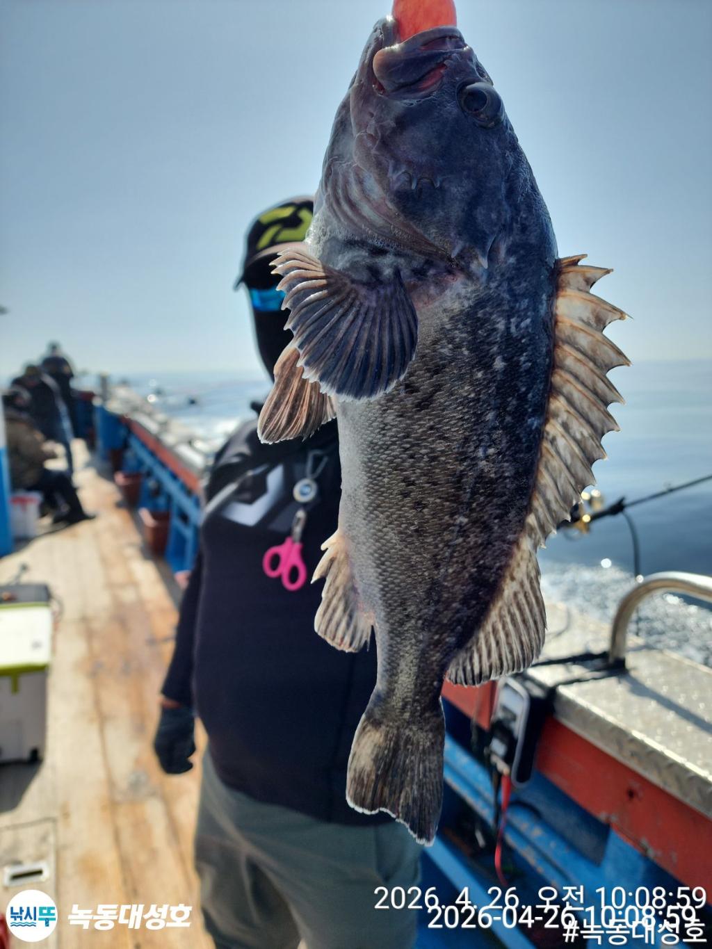 낚시뚜,우럭,열기,녹동항,녹동대성호,낚시뚜17