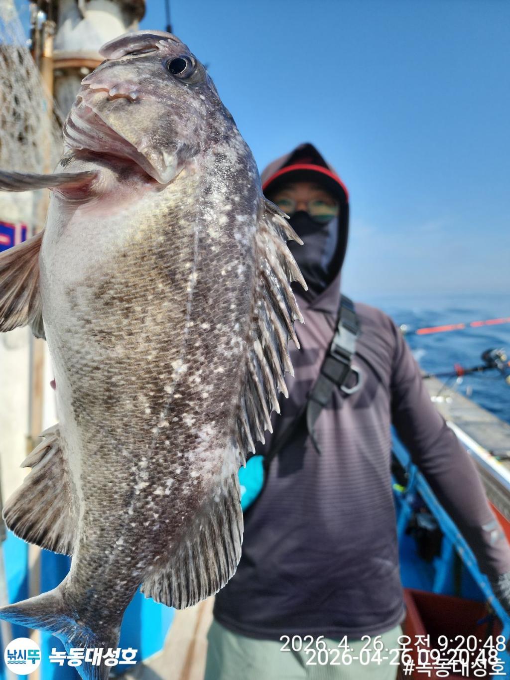 낚시뚜,우럭,열기,녹동항,녹동대성호,낚시뚜16