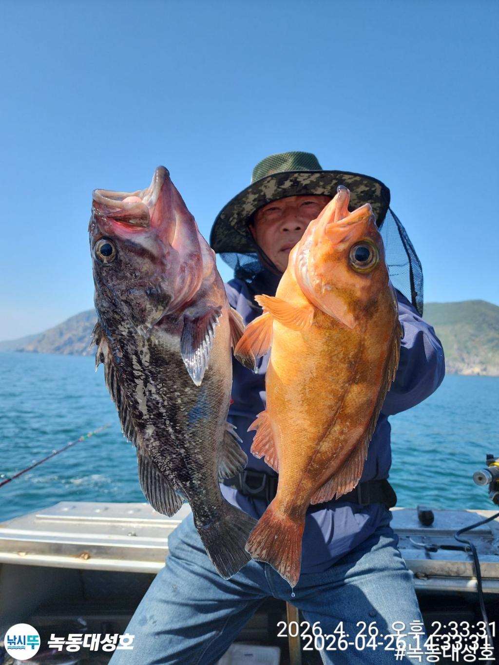 낚시뚜,우럭,열기,녹동항,녹동대성호,낚시뚜12