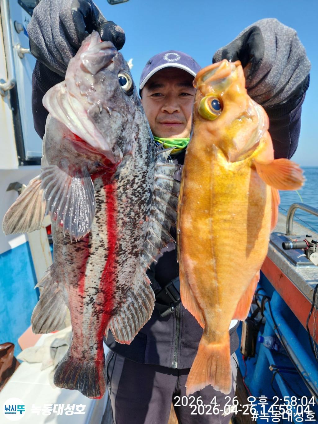 낚시뚜,우럭,열기,녹동항,녹동대성호,낚시뚜10