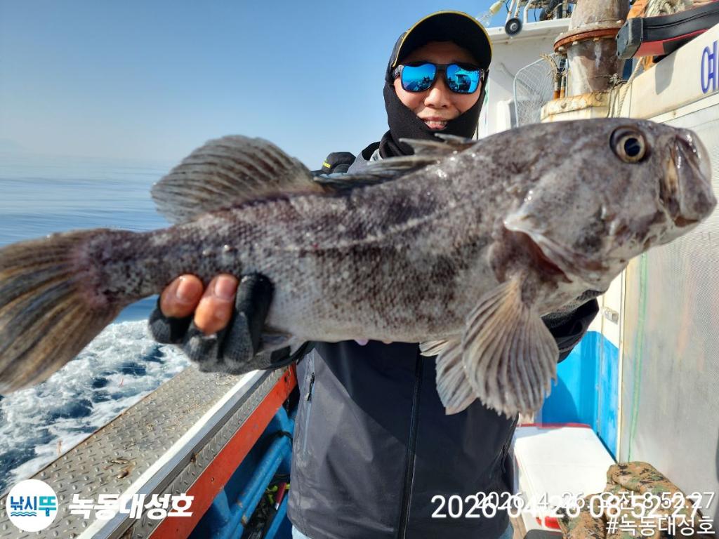 낚시뚜,우럭,열기,녹동항,녹동대성호,낚시뚜8