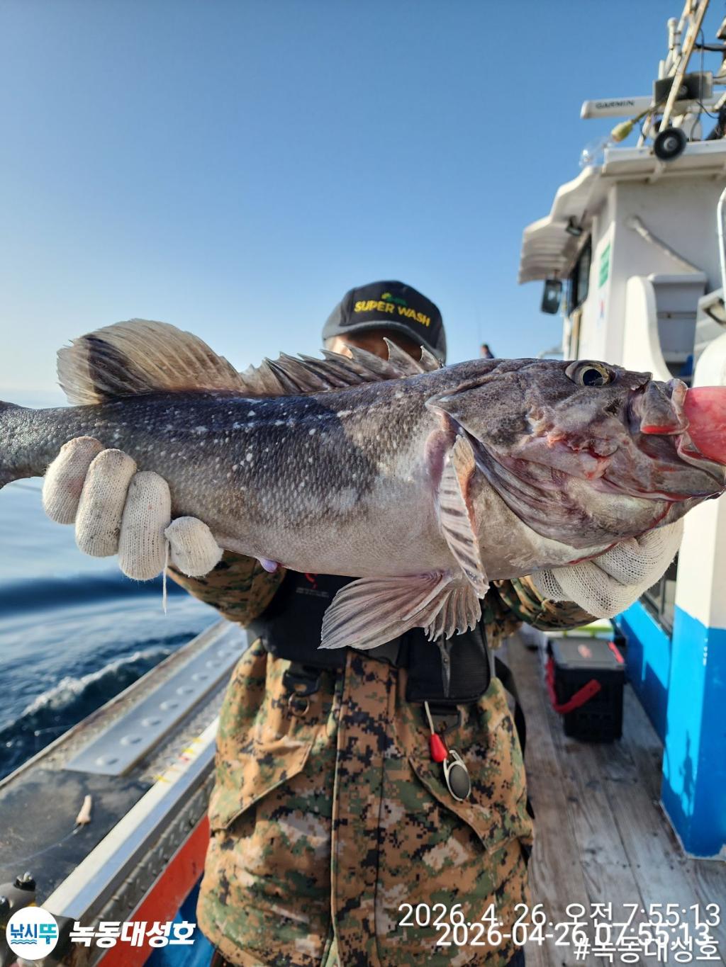 낚시뚜,우럭,열기,녹동항,녹동대성호,낚시뚜7