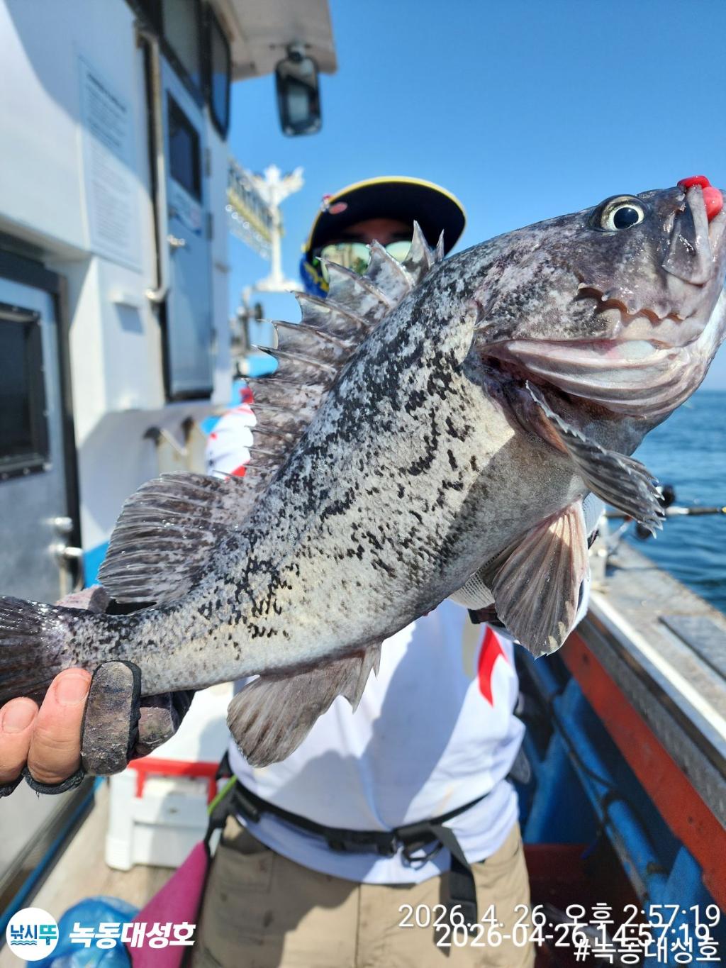 낚시뚜,우럭,열기,녹동항,녹동대성호,낚시뚜6