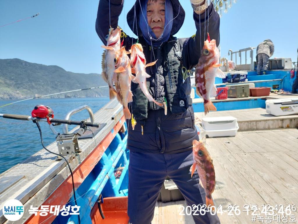 낚시뚜,우럭,열기,녹동항,녹동대성호,낚시뚜4