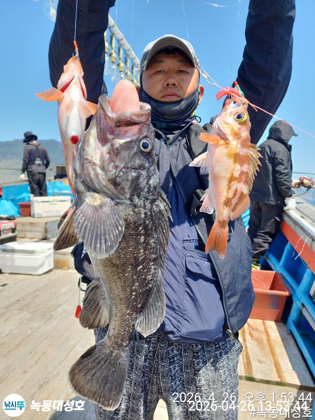 낚시뚜,우럭,열기,녹동항,녹동대성호,낚시뚜0